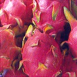 Питахая (Плод дракона, Dragon Fruit)