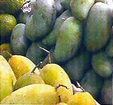  Манго (Mango)