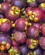 Мангостин (Mangosteen, Mangkhut)