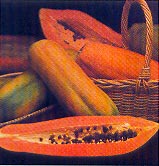 Папайя