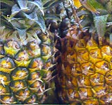 Ананас (pineapple)