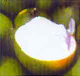 Помела (pomela)