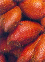 Салак (salak)